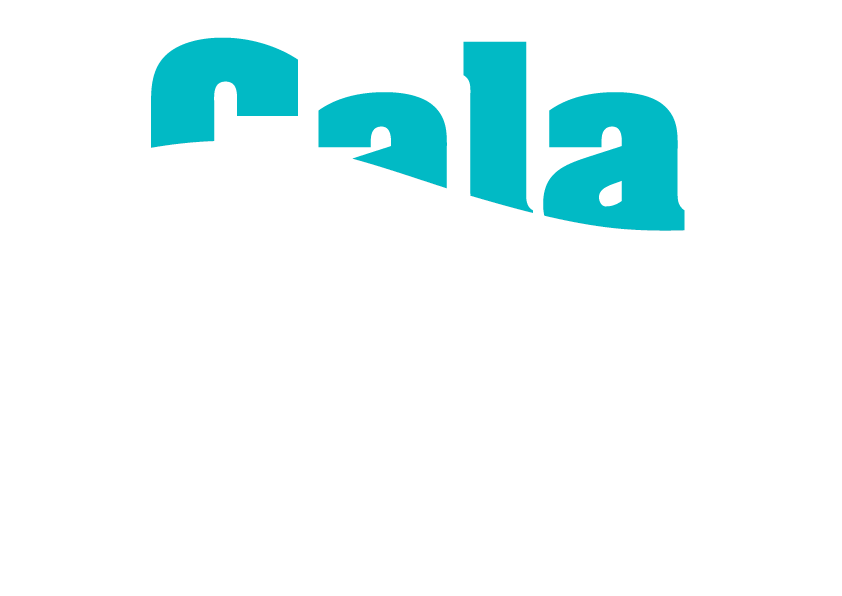 cala pilota logo barcos en venta y alquiler mallorca